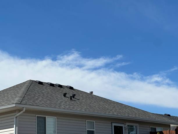 Best Cold Roofs  in Fairview Park, OH